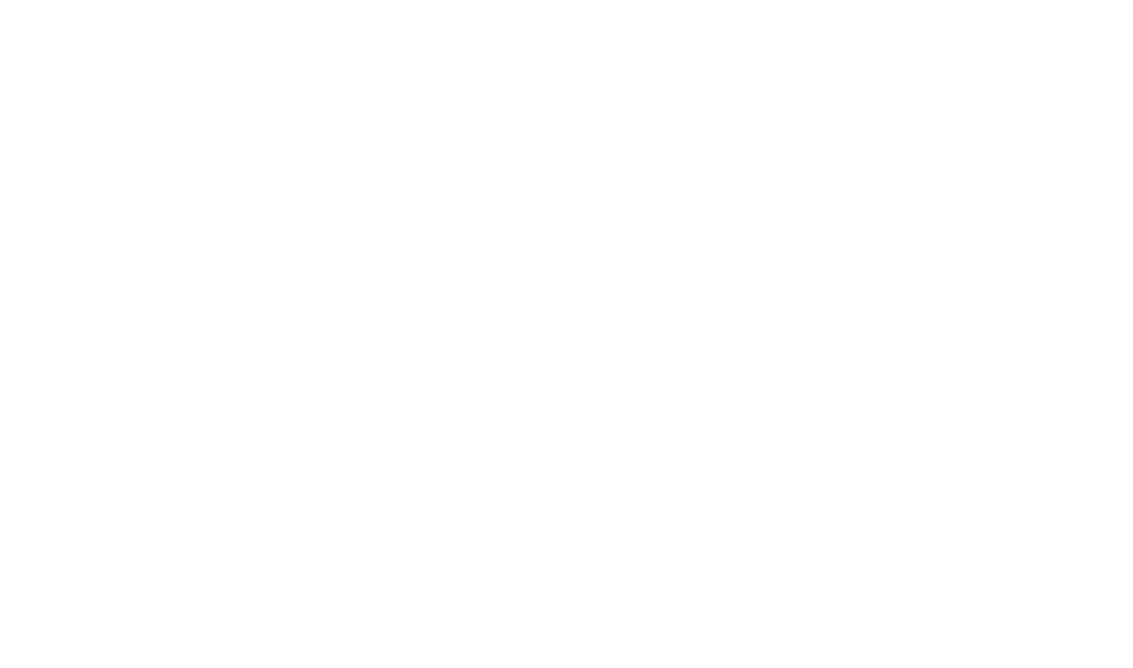 Logo 4SEW White